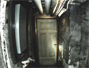 Scariest Cellar Door