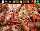 Seafood Hidden Images