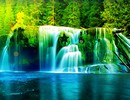 Waterfalls Forest