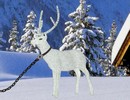 Snow Deer Escape