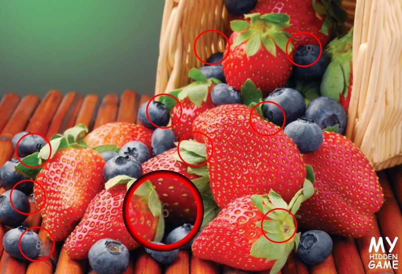 Fruits Fruits