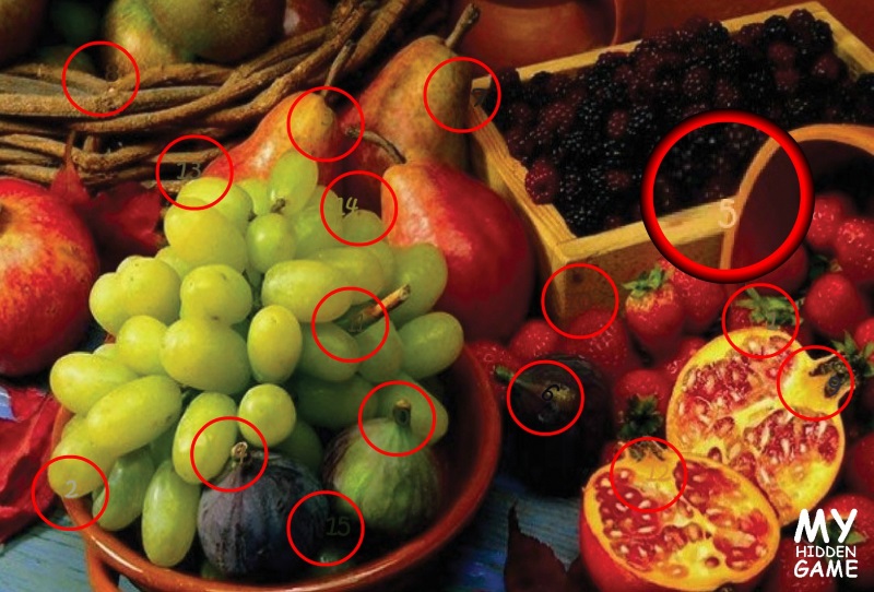Fruits Fruits