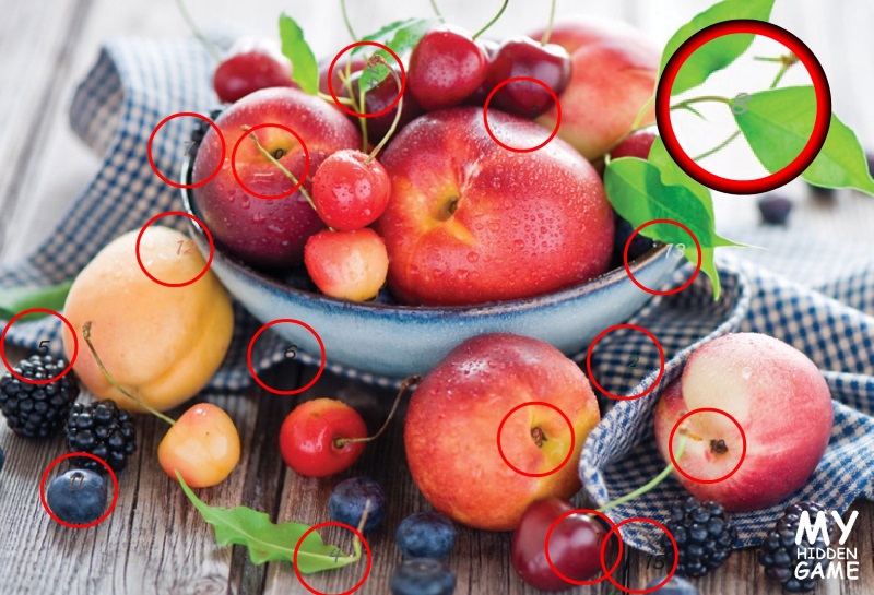 Fruits Fruits