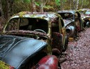 Abandoned Cars