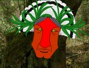 Red Indian Forest