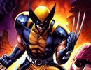 Wolverine Differences