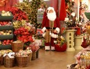 Christmas Gift Shop