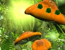 Bunny Mushroom World