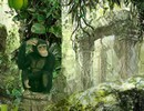 Chimpanzee Forest