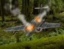 Plane Crashed Forest