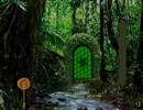Deep Rainforest Escape