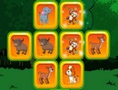 Animals Matching Game