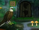 Eagle Fantasy Forest