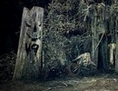 Amazon Haunted Forest