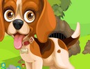 Beagle Puppy Rescue