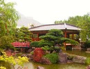 Japanese Garden 3
