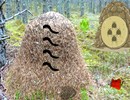 Ant Hill Forest Escape