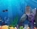 Deep Sea Fishes Rescue