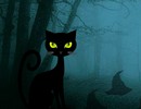 Scary Black Cat Forest