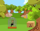 Woodpecker Escape