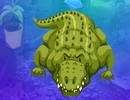 Greedy Crocodile