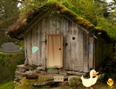 Grass Roofed Hut