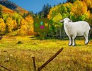 Mountain Sheep Escape