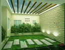Tropical Indoor Garden
