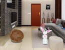 Cheerful Bunny House