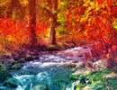 Fall Water Forest