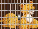 Sad Cheetah Rescue