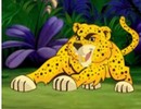 Cheetah Treasure