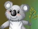 Koala Bear Rescue