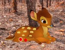 Help the Injured Deer
