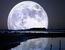 Moon Light Land