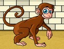 Rescue the Macaque