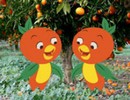 Twin Orange Birds