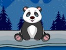Rescue Cute Panda