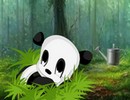 Baby Panda Hungry