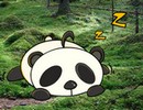 Wakeup Snooze Panda